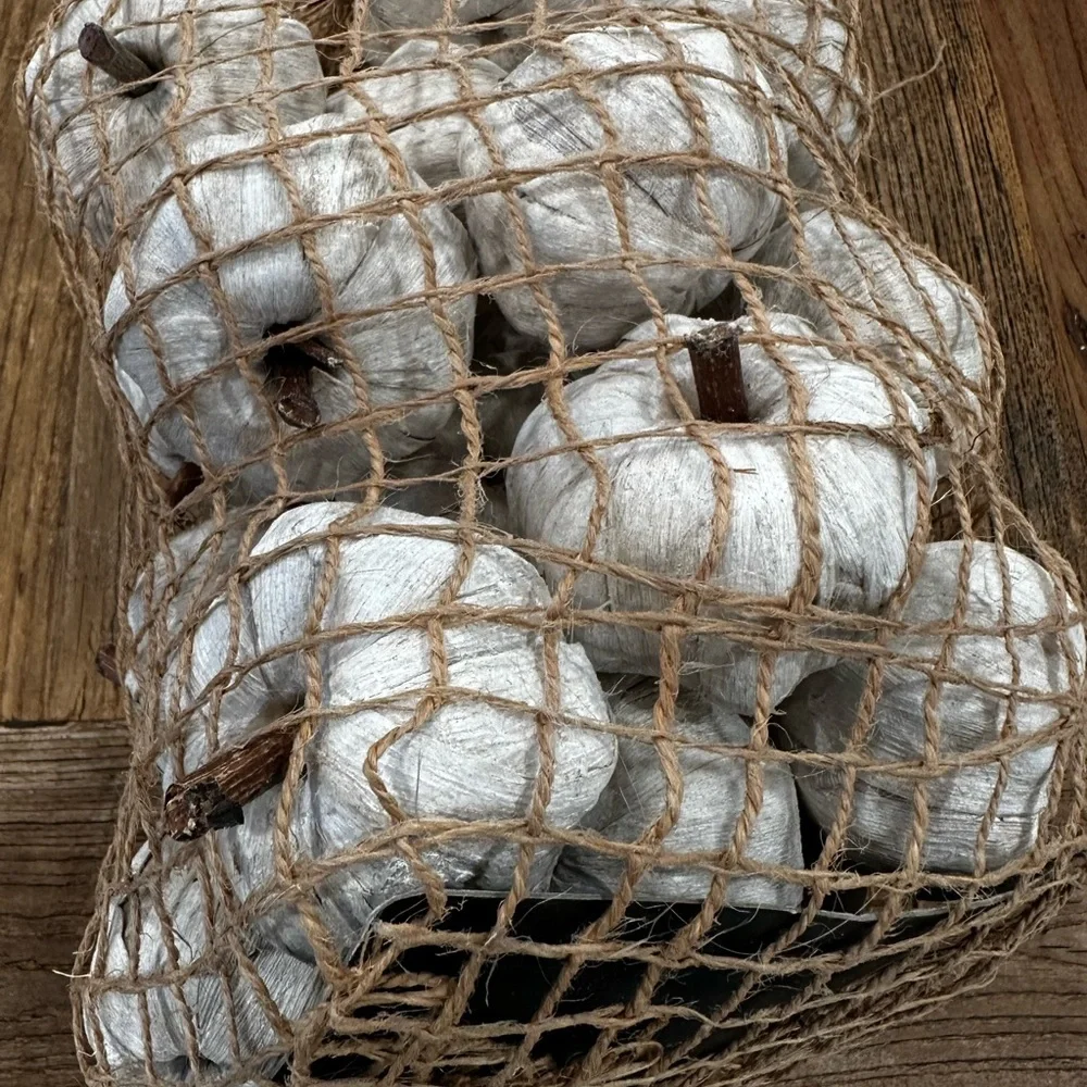 Rustic White Decorative pumpkin String